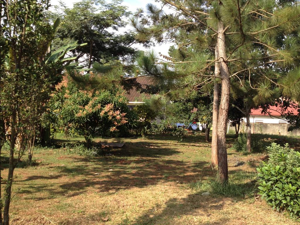 Bikeventures House Uganda Otel Jinja Dış mekan fotoğraf