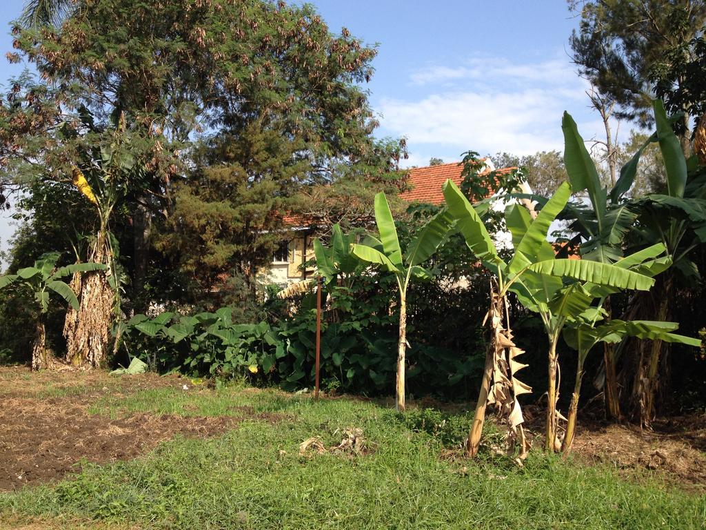 Bikeventures House Uganda Otel Jinja Dış mekan fotoğraf